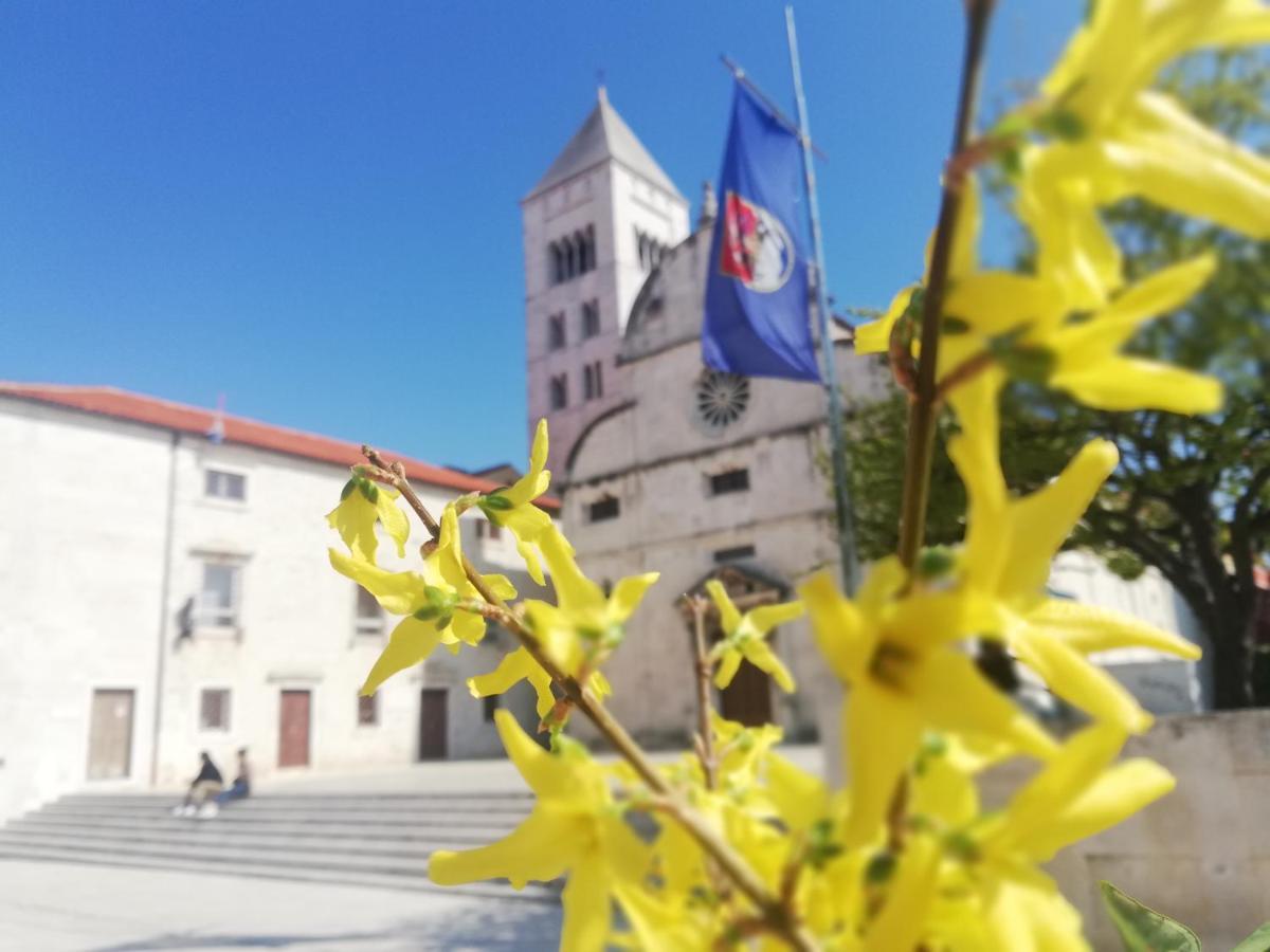 Apartman Pegla Zadar Zewnętrze zdjęcie